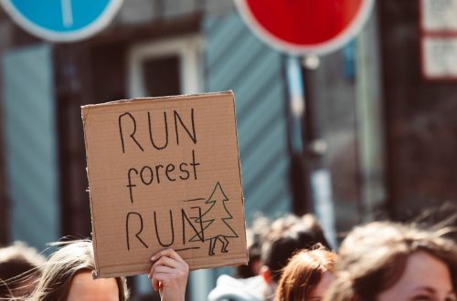 RUN FOREST RUN // SAVE THE PLANET // Global climate change strike - 25. March 2022